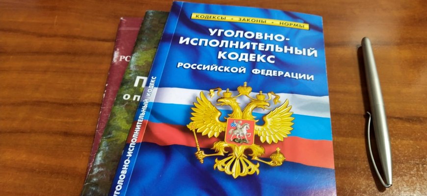 Ходатайство об УДО